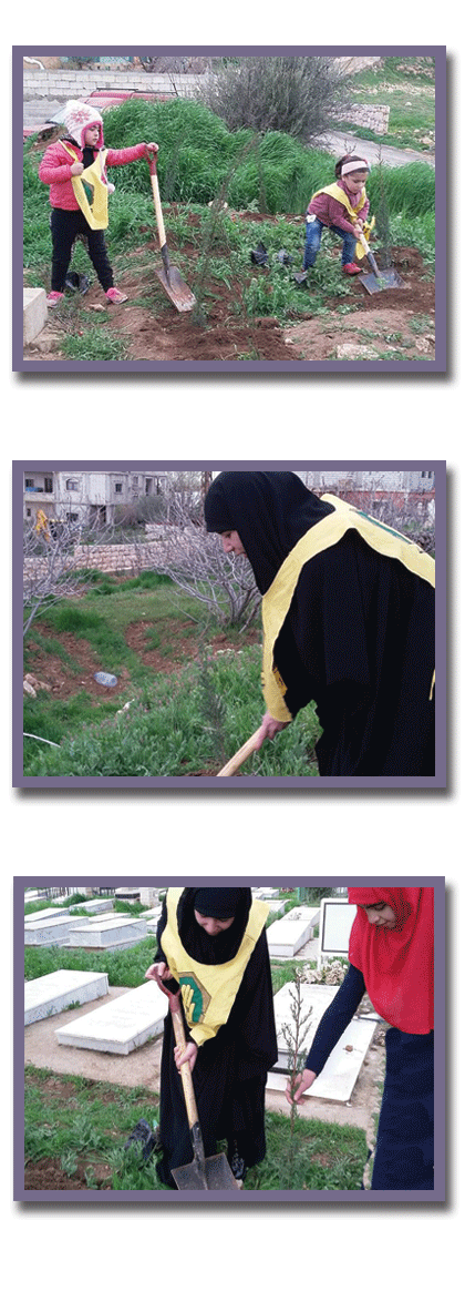 حملة تشجير حملة تشجير